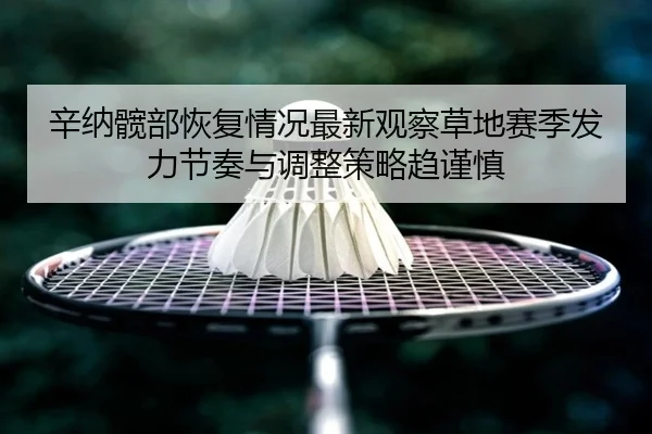 xin-na-kuan-bu-hui-fu-qing-kuang-zui-xin-guan-cha-cao-di-sai-ji-fa-li-jie-zou-yu-tiao-zheng-ce-lve-qu-jin-shen-2-340.jpg