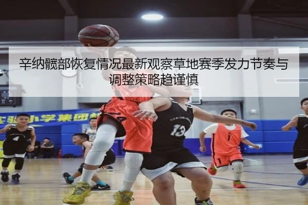 辛纳髋部恢复情况最新观察草地赛季发力节奏与调整策略趋谨慎